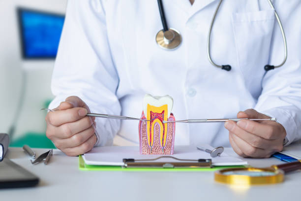 Best Urgent Tooth Repair  in Dogtown, CA